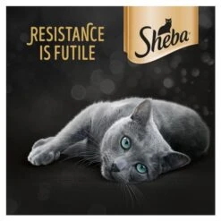 Sheba Fresh & Fine Tuna & Cod In Gravy Wet Adult Cat Food -Pet Supply Store 9338593 T65 nllkia