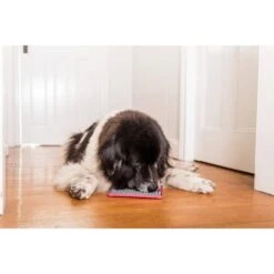 LickiMat Buddy Tuff Slow Feeder For Dogs & Cats -Pet Supply Store 9349785000326 LM9023RD DR LickiMat Buddy Tuff Dog Red 2 yoacal