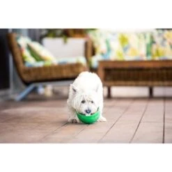 LickiMat Wobble Slow Feeder For Dogs & Cats -Pet Supply Store 9349785000364 LM5801GN R LickiMat Wobble Green old 3 ge6ka8