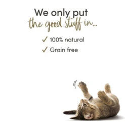 Applaws Natural Tuna Loin Cat Treat -Pet Supply Store 9504ML A 3 fjr19s