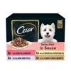 Cesar Pouch Deliciously Fresh Favourites In Sauce Adult Dog Food -Pet Supply Store 9862836 T14 x8rak4