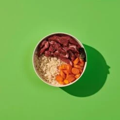 Naturediet Feel Good Lamb Wet Adult Dog Food Cartons 9 Naturediet Feel Good Lamb Wet Adult Dog Food Cartons -Pet Supply Store 9baTnktg nytoxg