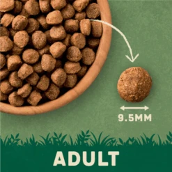 Harringtons Rich In Lamb & Rice Dry Dog Food -Pet Supply Store Adult Kibble 7 gx93eu 1