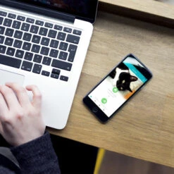 SureFlap Microchip Cat Flap Connect 14 SureFlap Microchip Cat Flap Connect -Pet Supply Store App2 u1l5mo 1