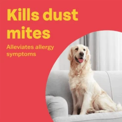 Bob Martin Clear Home Flea Spray -Pet Supply Store B000P566DU4.PT02 scaled b2pvid