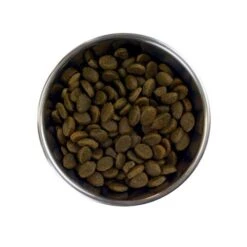 Barking Heads Large Breed Puppy Dog Food -Pet Supply Store BH Large Breed Puppy Flat lay rcqycl