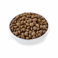 Applaws Taste Toppers Beef Bone Broth With Turmeric & Parsley Wet Dog Food -Pet Supply Store Beef tt 3 cc3rhk