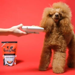 Pooch & Mutt Bionic Biotic Concentrate Dog Skin & Digestion Supplement -Pet Supply Store Bionic Biotic natural supplement for dogs healthy skin and coat poodle jbawum