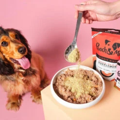 Pooch & Mutt Bionic Biotic Concentrate Dog Skin & Digestion Supplement -Pet Supply Store Bionic Biotic and food and dof nzcypw