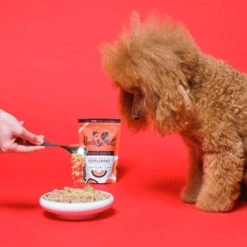 Pooch & Mutt Bionic Biotic Concentrate Dog Skin & Digestion Supplement -Pet Supply Store Bionic Biotic dog am0drp