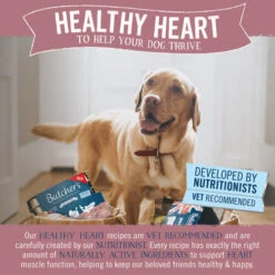Butchers Healthy Heart Wet Adult Dog Food Tins -Pet Supply Store Butcher s Healthy Heart Tins 4 vsbvkd