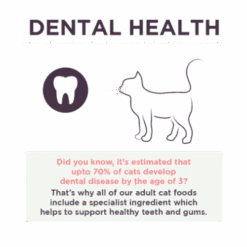 Burgess Scottish Salmon Adult Dry Cat Food -Pet Supply Store Cat Products Dental 13 460x460 uchztt