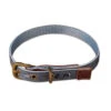 FatFace Marching Dogs Collar For Dogs -Pet Supply Store Collar nagip0