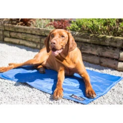Danish Design Cooling Mat For Dogs -Pet Supply Store Cooling Large 1 iicrna