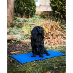 Danish Design Cooling Mat For Dogs -Pet Supply Store Cooling Medium 1 weamxu