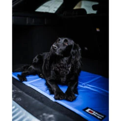 Danish Design Cooling Mat For Dogs -Pet Supply Store Cooling Medium 2 sjfee3
