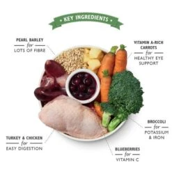 Lily's Kitchen Lilys Kitchen Homestyle Chicken & Turkey Casserole Wet Adult Dog Food -Pet Supply Store DCTC 2 dsdwta