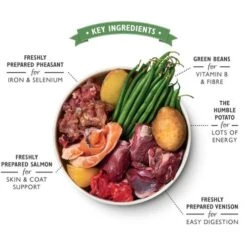 Lily's Kitchen Lilys Kitchen Wild Campfire Stew Dog Food -Pet Supply Store DWCS 2 cewweb