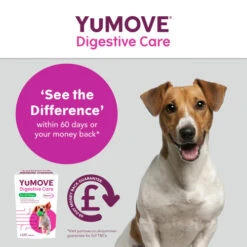 YuMOVE Digestive Care For All Dogs -Pet Supply Store Digestive Care 120 5 lnozr2
