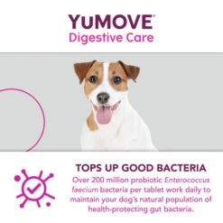YuMOVE Digestive Care For All Dogs -Pet Supply Store Digestive Care 120 6 wxxjln