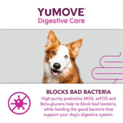 YuMOVE Digestive Care For All Dogs -Pet Supply Store Digestive Care 120 7 xihvld