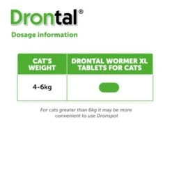 Drontal Worming Tablets For Large Cats Over 4kg -Pet Supply Store Drontal Cat XL Dosage sscluz