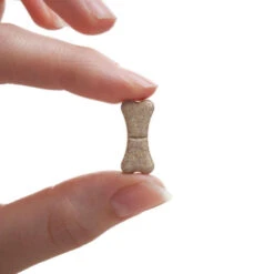 Drontal Tasty Bone Worming Tablets For Small And Medium Dogs 2kg To 20kg -Pet Supply Store Drontal Tasty Bone Tablet Size ojhvus