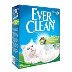 Ever Clean Extra Strength Scented Cat Litter