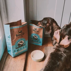 Beco Wild Caught Cod & Haddock With Kale & Chickpeas Dry Adult Dog Food 11 Beco Wild Caught Cod & Haddock With Kale & Chickpeas Dry Adult Dog Food -Pet Supply Store Food Cod Haddock Dry Dog Food Lifestyle 2 Blue BFDF 001 005 006 007 wtkrij
