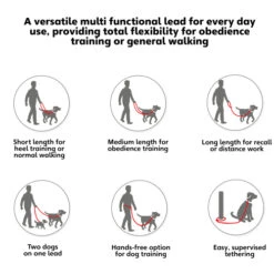 Company Of Animals Halti Training Dog Lead -Pet Supply Store HALTI Training Lead multiple uses icons ijkjfi