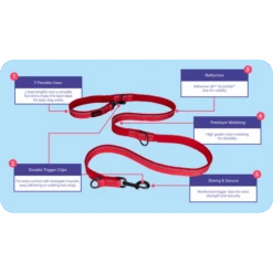 Halti Double Ended Black Dog Lead -Pet Supply Store Halti Walking Double Ended Lead Features Close Ups 1100x620 niprvt