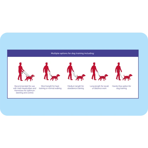 Company Of Animals Halti Training Dog Lead 10 Company Of Animals Halti Training Dog Lead - Image 8