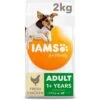 IAMS Vitality Chicken Small & Medium Adult Dry Dog Food -Pet Supply Store Iams Vitality Adult SmallMed Breed Chicken 2kg yiwsli