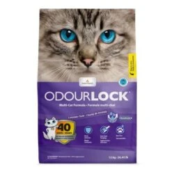 Intersand Odourlock Lavender Clumping Cat Litter