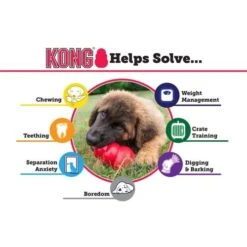 KONG Extreme Dog Toy -Pet Supply Store K1 3 loph6i
