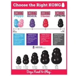 KONG Extreme Dog Toy -Pet Supply Store K1 4 ib59ea