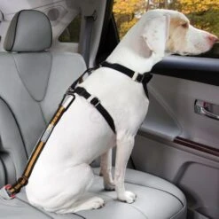 Kurgo Direct To Seatbelt Dog Tether
