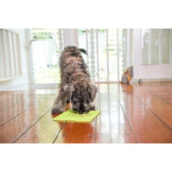 LickiMat Classic Buddy Slow Feeder For Dogs & Cats -Pet Supply Store Lickimat Buddy Green 2 roohua