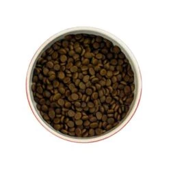 Meowing Heads So-Fish-Ticated Salmon Adult Cat Food -Pet Supply Store MH Cat Salmon Flat Lay i0ju5w