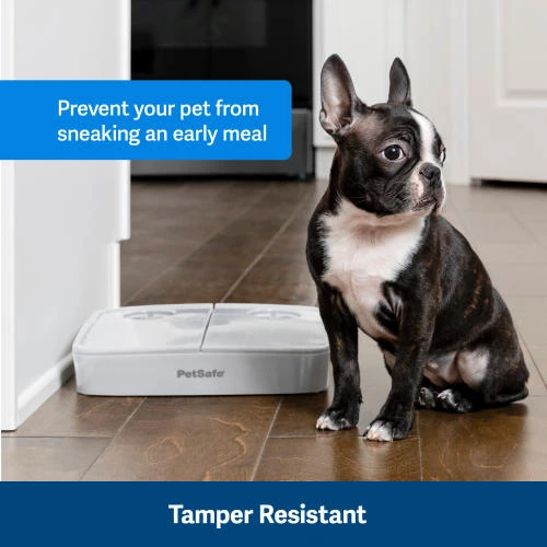 PetSafe Automatic 2 Meal Pet Feeder 4 PetSafe Automatic 2 Meal Pet Feeder - Image 2