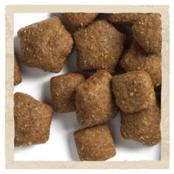 BETA Turkey & Lamb Dry Adult Dog Food -Pet Supply Store PURINA BETA ADULT with lamb 086602FF Kibbles copy azjodu