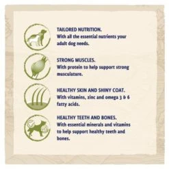 BETA Turkey & Lamb Dry Adult Dog Food -Pet Supply Store PURINA BETA ADULT with lamb 086702FF Icons wqevoh