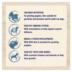 BETA Turkey Large Breed Dry Puppy Food -Pet Supply Store PURINA BETA PUPPY large breed with turkey 087302FF Icons scaa7v