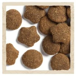 BETA Turkey Large Breed Dry Puppy Food 24 BETA Turkey Large Breed Dry Puppy Food -Pet Supply Store PURINA BETA PUPPY large breed with turkey 087302FF Kibbles qhbouq
