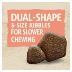 BETA Working Chicken Dry Adult Dog Food -Pet Supply Store PURINA BETA WORKING dog with chicken 087102FF Dual Kibbles o4twip