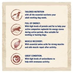 BETA Working Chicken Dry Adult Dog Food -Pet Supply Store PURINA BETA WORKING dog with chicken 087102FF Icons hkcu9w