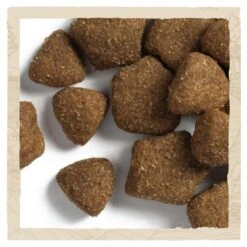 BETA Working Chicken Dry Adult Dog Food -Pet Supply Store PURINA BETA WORKING dog with chicken 087102FF Kibbles ou2dc2