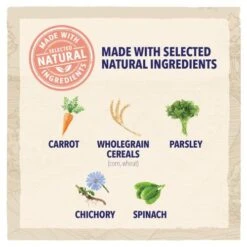 BETA Working Chicken Dry Adult Dog Food -Pet Supply Store PURINA BETA WORKING dog with chicken 087102FF Natural ingredients qdzmux