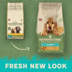 Harringtons Rich In Turkey & Rice Dry Puppy Dog Food 8 Harringtons Rich In Turkey & Rice Dry Puppy Dog Food -Pet Supply Store Puppy Turkey 1.7KG bko8vm