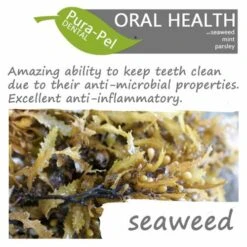 Green Pantry Pura Pel Dental Herbal Cat & Dog Supplement -Pet Supply Store Pura Pel Dental Seaweeds 1 ubeche
